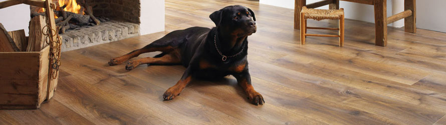 Ламинат Berryalloc LVT